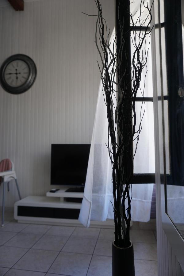 Le Telly-Centre Ville-Petits Prix-Ideal Pour Rayonner Sur La Ville Carcassonne Exterior photo